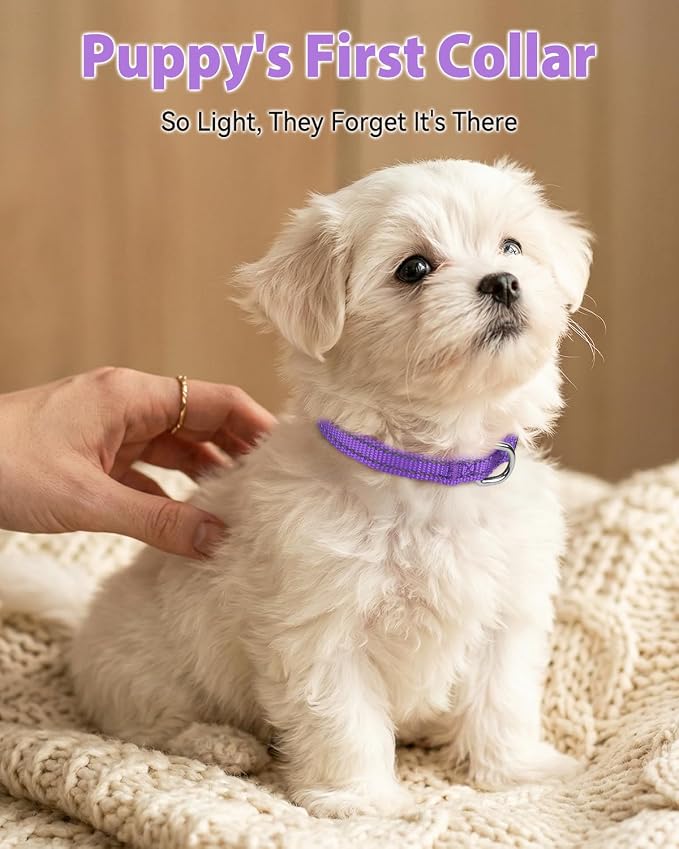 Joytale Puppy Collar, Feather-Light Double-Sided Reflective Nylon Collar for Night Safety, Adjustable Quick-Release for Extra Small Dogs, Purple, XS (3/8" Width)