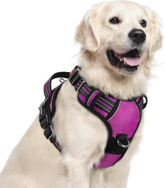 rabbitgoo Dog Harness for Large Dogs, 3 Buckles Easy On & Off No Pull Pet Vest, Soft Padded Walking Pet Harness with Control Handle, Adjustable and Reflective, Purple, XL