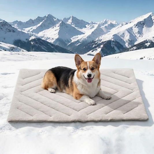 Dog Cooling Mat, Q-Max>0.46 Instant Cool Pad for Dogs, Reversible 4-Layer Thick Pet Cooling Pad, Machine Washable,for Crate, Car, Indoor & Outdoor Summer（Rectangle,Large-48 L x 28" W)