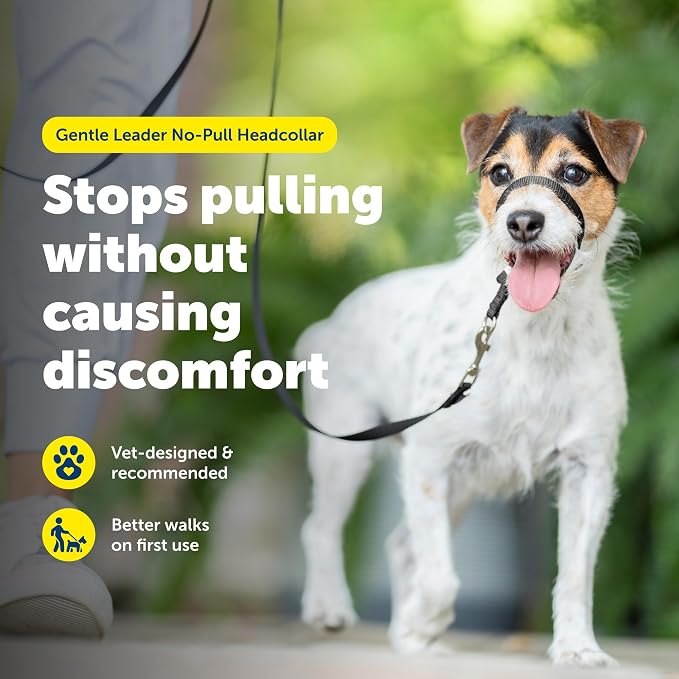 PetSafe Gentle Leader No-Pull Dog Headcollar - The Ultimate Solution to Pulling - Redirects Your Dog's Pulling for Easier Walks - Helps You Regain Control - Small, Fawn