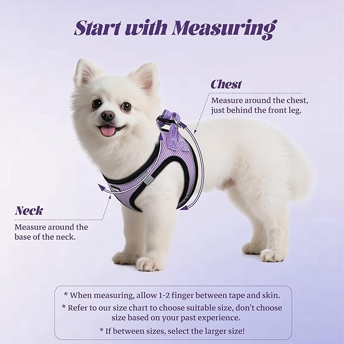 YIMEIS Dog Harness and Leash Set, No Pull Soft Mesh Pet Harness, Reflective Adjustable Puppy Vest for Small Medium Large Dogs, Cats (Taro Purple, X-Small (Pack of 1)