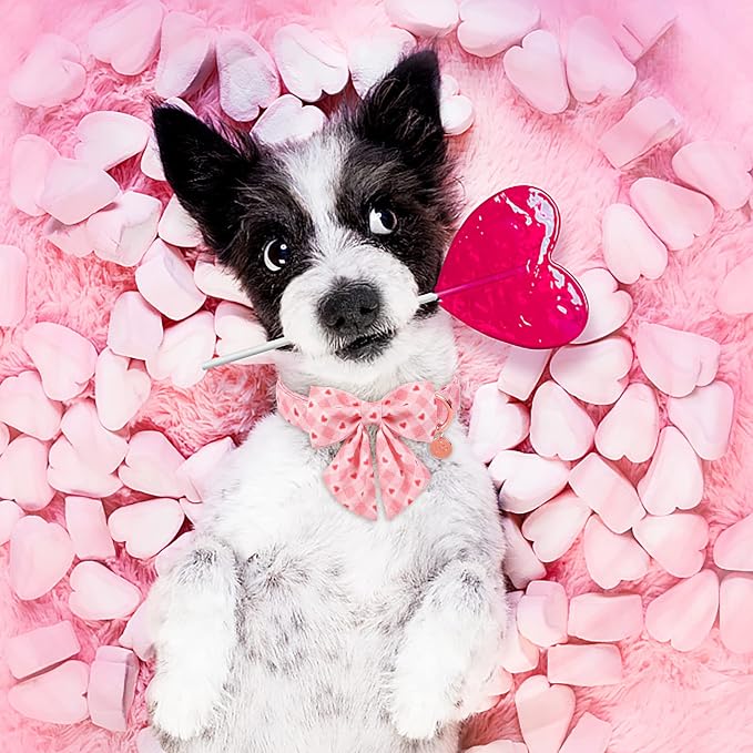 Valentine Dog Collar with Bow Tie, Pink Plaid, Cotton, Metal Buckle, Valentine's Day Gift, L, 16-24in