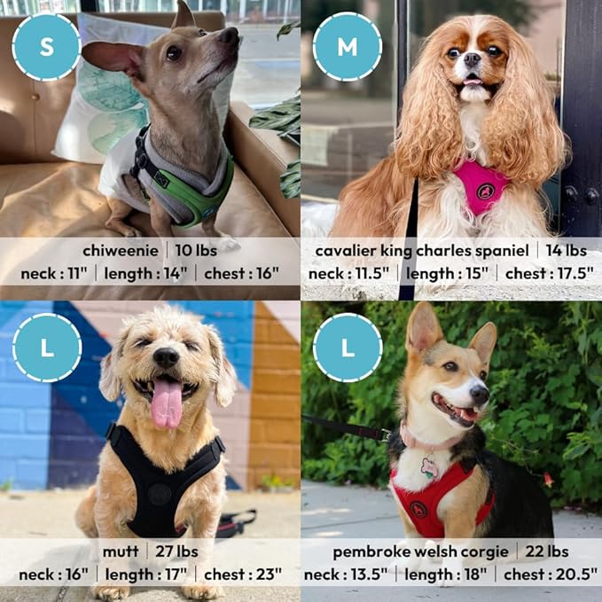 Gooby Escape Free Sport Harness - Black, Large - No Choke Step-in Patented Neoprene Small Dog Harness with Four-Point Adjustment - Perfect on The Go Dog Harness for Medium Dogs No Pull and Small Dogs
