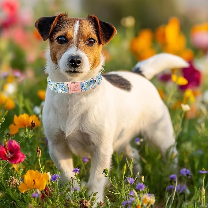 Blueberry Garden Dog Collar, Spring/Summer Cottagecore Floral Dog Collars, Adjustable Heavy Duty Girl Dogs Collar for Small Medium Large Dogs with Metal Buckle S