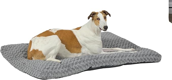 MidWest Homes for Pets Plush Ombe Swirl Dog Bed; Gray 54-Inch for Giant Breeds