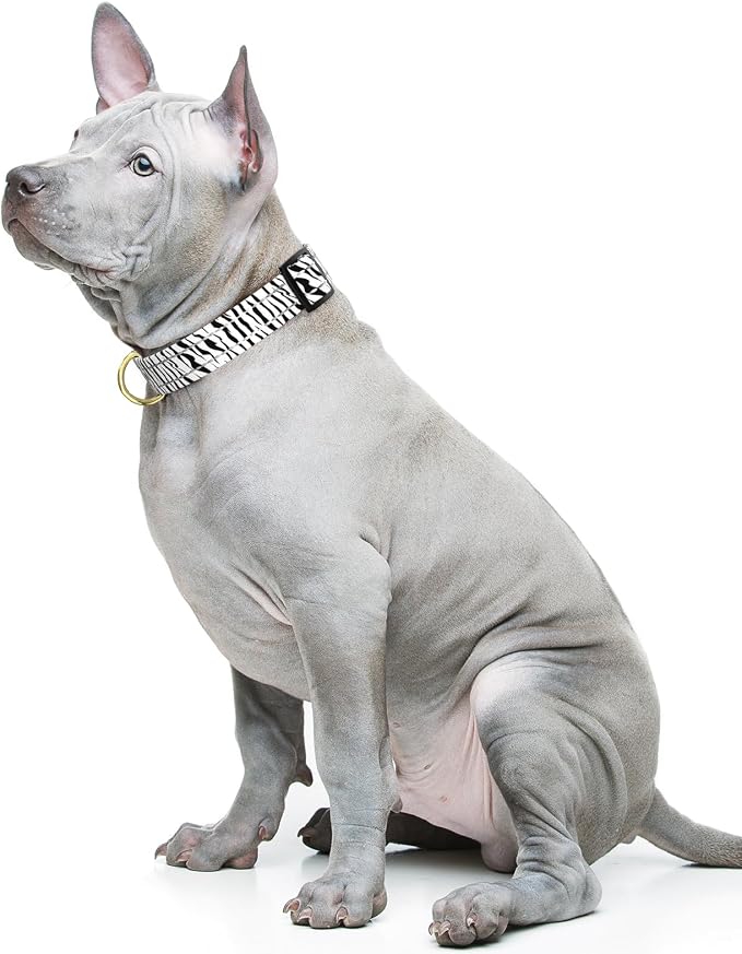 Reflective Dog Collar for Medium Dogs, Cute Boho Adjustable Heavy-Duty Nylon Puppy Collar for Boy and Girl Female, Soft Pet Accessories with Quick Release Buckle, Stylish Zebra Print