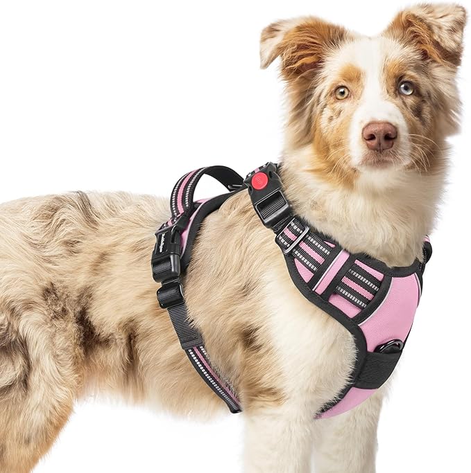 rabbitgoo Dog Harness Medium Sized, No Pull Easy On & Off with 3 Buckles Pet Harness, Adjustable Soft Walking Vest with 2 Clips and Handle, Reflective for Medium Dogs, Pink, M