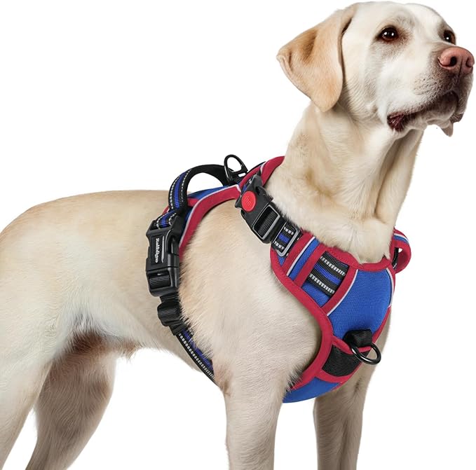 rabbitgoo Dog Harness for Large, No Pull Easy On & Off with 3 Buckles Pet Harness, Adjustable Soft Walking Vest with 2 Clips and Handle, Reflective for Large Dogs, Royal Blue & Red, L