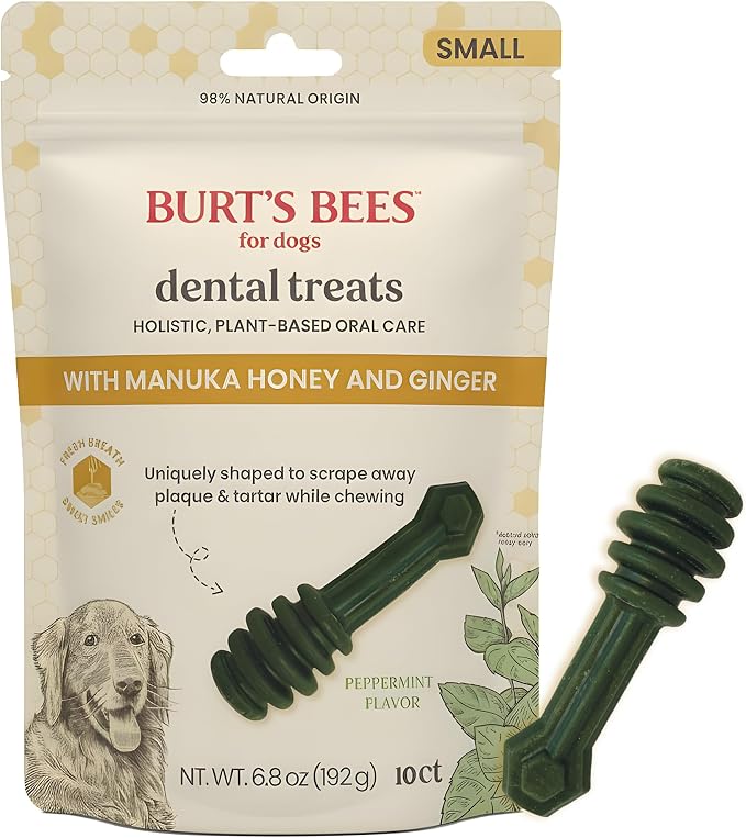 BURT'S BEES FOR PETS Dental Treats for Dogs with Manuka Honey & Ginger, 98% Natural Origin, Holistic Oral Care, Freshens Breath, Peppermint Flavor, Small Size, 10 ct, 6.8 Oz
