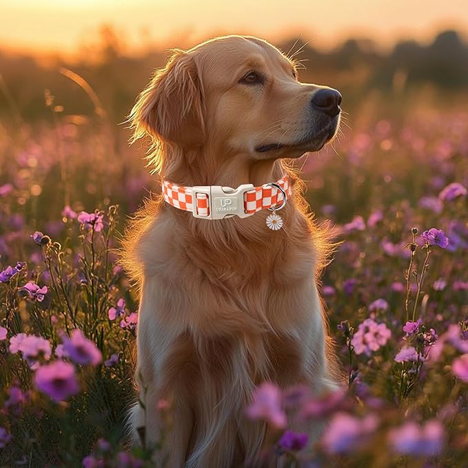 Gingham Fall Dog Collar – Adjustable Orange Picnic Checkered Dog Collar with Daisy Pendant, Classic Autumn Dogs Collars for Girl Boy Dogs