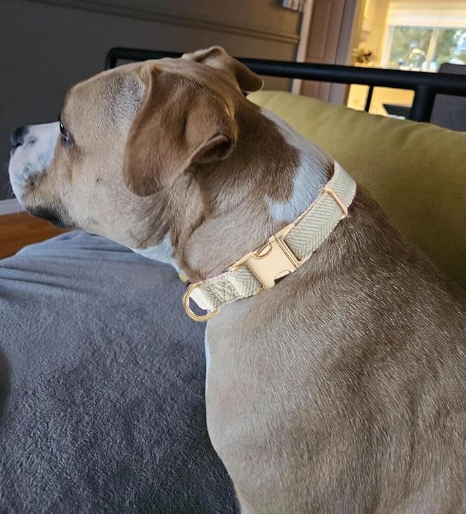 Soft Dog Collar and Leash Set Adjustable Woven Tweed Dog Collars with Metal Buckle and Lead for Small Medium Large Dogs,Grey