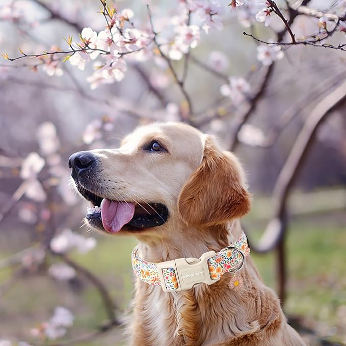 ARING PET Spring Summer Dog Collar-Cute Dog Collar for Small Dogs, Adjustable Cotton Floral Pet Collars Puppy Collar for Small Medium Large Dogs