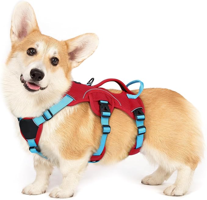 rabbitgoo Escape Proof Dog Harness Large Dogs, Soft Padded Full Body Pet Harness, Reflective Adjustable No Pull Vest with Lift Handle and Leash Clip for Walking Hiking Training, Blue & Red, S
