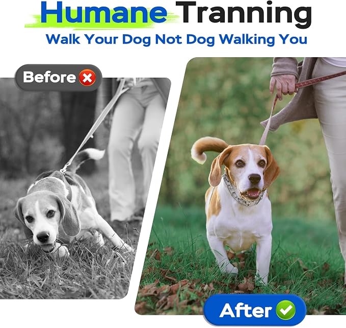 Supet Prong Collar for Dogs Training Collar, Adjustable Pinch Collar with Quick Release Buckle for Small Medium Large Dogs, No Pull Pinch Collar, Packed with One Extra Links,M