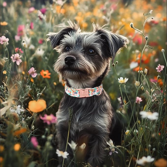 Floral Dog Collar - Cute Summer Flowers Dog Collars for Large Dogs, Durable Adjustable Male Female Puppy Collar with Metal Buckle L