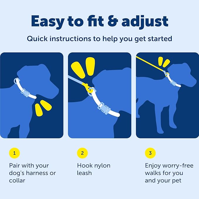 PetSafe Nylon Dog Leash Strong, Durable, Traditional Style Lead with Easy to Use Bolt Snap for Small, Medium and Large Dogs 3/4" x 6', Deep Purple