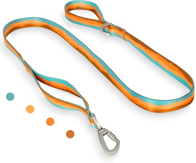 Double Handle Dog Leash 5FT – Heavy Duty Nylon Flat Leash with Traffic Handle & Safety Lock Clip,Colorful Durable Walking Lead for Small Medium Large Dogs Training & Daily (Sunset Orange)