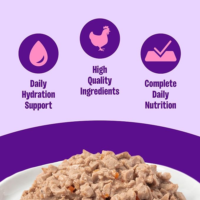 Wellness Complete Health Pate Adult Wet Cat Food,Natural,Protein-Rich,Grain Free,3 Ounce,(Chicken),(Pack of 48)
