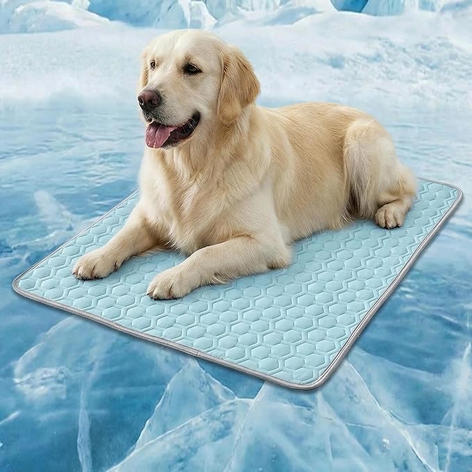 HAOMAIJIA Pet Cooling Mat for Dogs Thick Soft Washable Dog Cooling Mat Indoor Upgrade Waterproof Non-Slip Self Cooling Pad for Dog and Cat (Sky Blue, 19'' x 24'' Small)