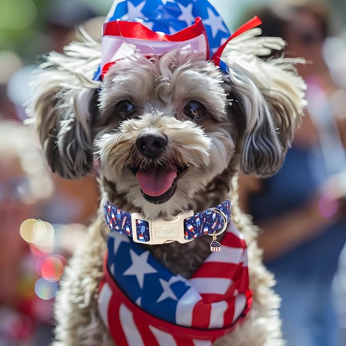 4th of July Dog Collar Patriotic Popsicle Dog Collars for Medium Dogs - Lightweight Adjustable Navy Independence Day Puppy Collars Cute Summer Pet Safety Collar M