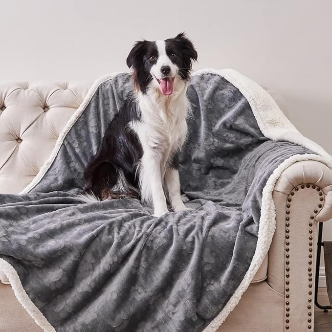 Qeils Waterproof Blanket for Bed, Dog Blankets for Large Dogs, Waterproof Cat Blanket Washable, Soft Sherpa Fleece Puppy Blanket, Reversible Throw Protector for Couch Car, 50"X60", Dark Grey