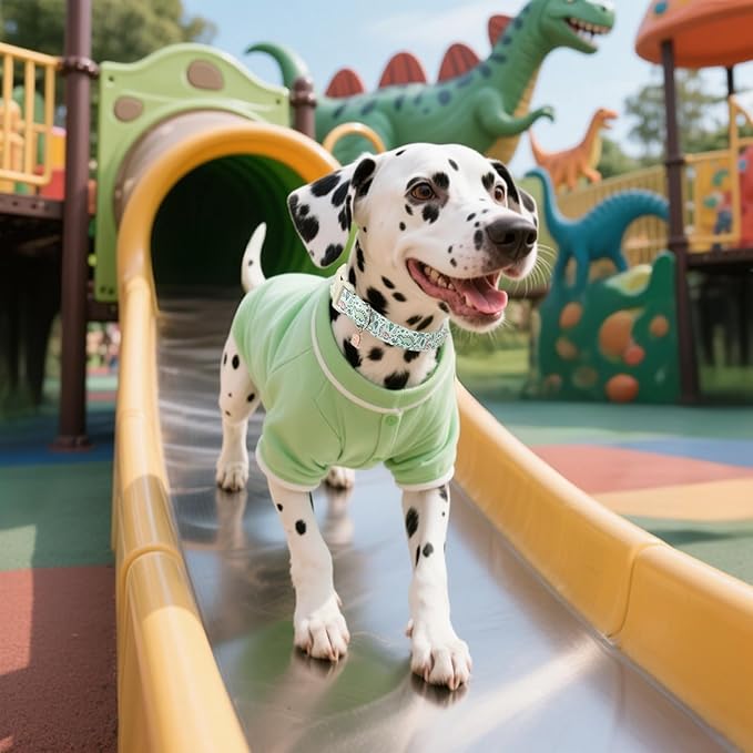 Maca Bates Spring Green Cute Dinosaur Basic Dog Collar for Extra Large Boy Girl Dogs,Durable Soft Adjustable Collars Gift for Male Female Puppy Pet with Safety White Buckle