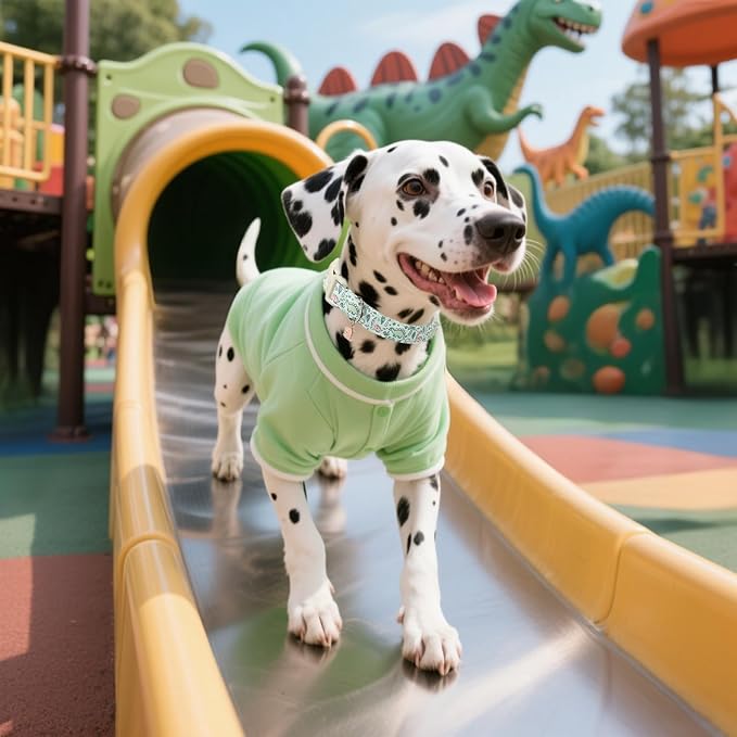Maca Bates Spring Green Cute Dinosaur Basic Dog Collar for Large Boy Girl Dogs,Durable Soft Adjustable Collars Gift for Male Female Puppy Pet with Safety White Buckle
