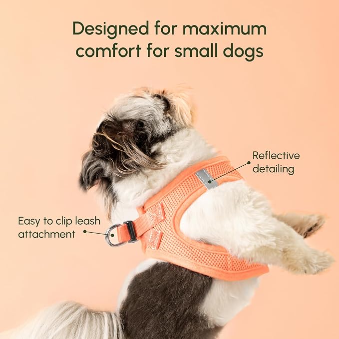Downtown Pet Supply Step in Dog Harness for Large Dogs - Adjustable, Escape Proof Dog Harness with Reflective Trim - All-Weather, Fast-Drying Padded Mesh Fabric - Tangerine, X-Small