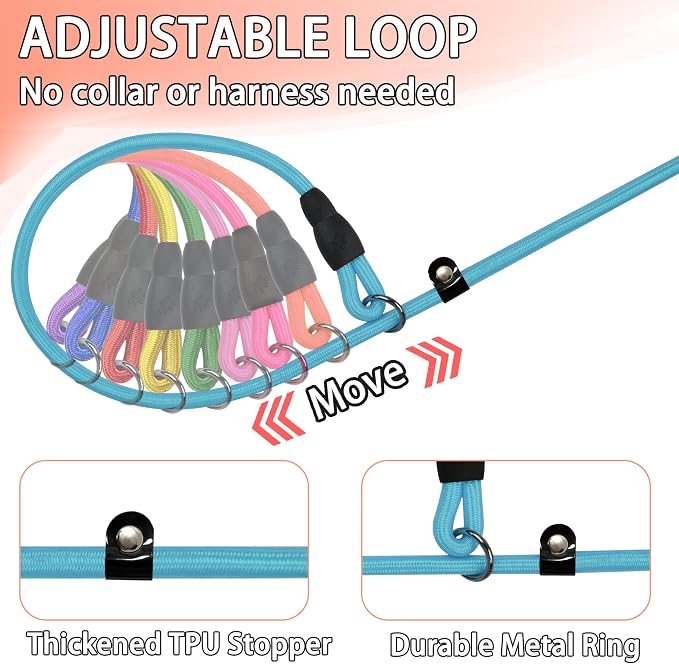FOVRLZSE Nylon Dog Leash 11-Pack (11 Assorted Colors), 4.6FT for Small to Medium Dogs, 10mm Braided Nylon with TPU Non-Slip Buckle, Daily Walking & Puppy Training