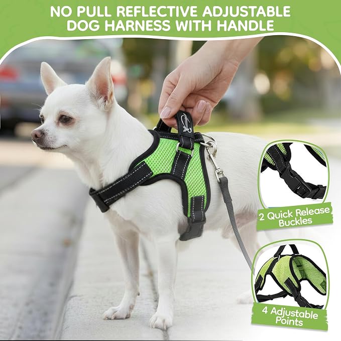 No Pull Reflective Adjustable Dog Harness with Handle- Comfortable Soft All Weather Mesh, Easy On Puppy Harness for Small Medium and Large Dogs (Green) X-Small