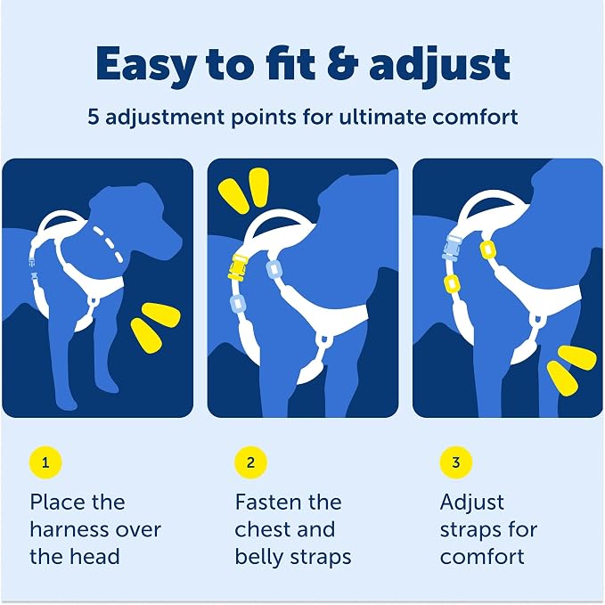 PetSafe Easy Walk Comfort No-Pull Dog Harness Full-Body Padding - Better Walks on the First Use - 5 Points of Adjustment Medium, Black