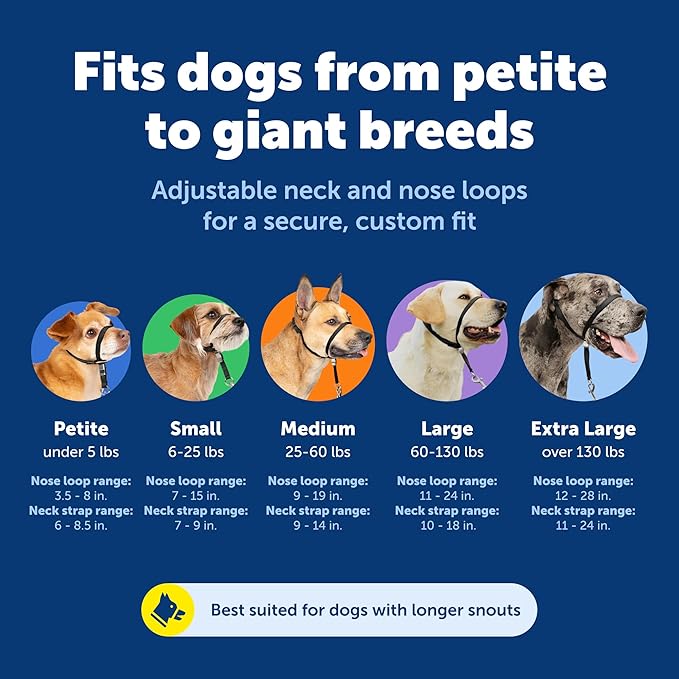 PetSafe Gentle Leader No-Pull Dog Headcollar - The Ultimate Solution to Pulling - Redirects Your Dog's Pulling for Easier Walks - Helps You Regain Control - Medium, Fawn