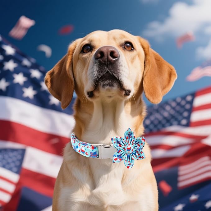 Maca Bates American Flag 4th of July Dog Collar with Flower Bow 4 of 7 for Dogs Adjustable Durable Icecream Patriotic USA Collars Summer Independence Day for Small Medium Large XL Boy Girl Puppy