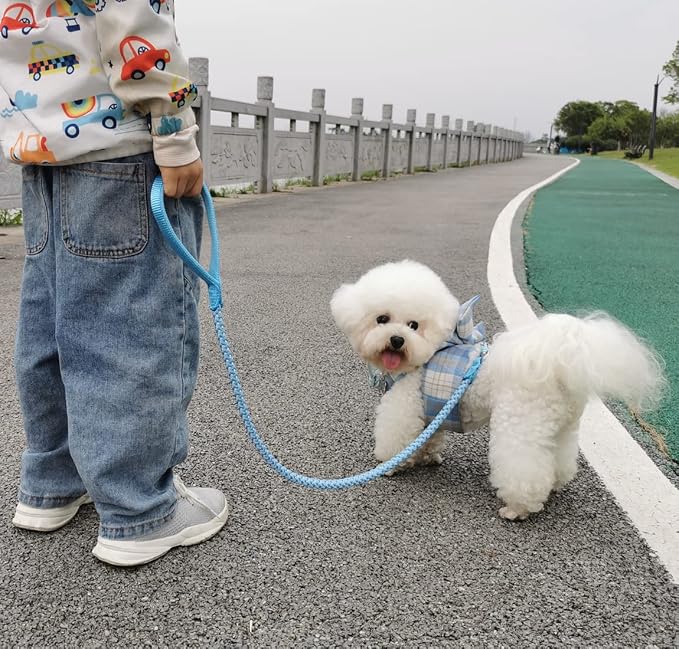 2/3/4/6/10 ft Reflective Dog Leash Strong Nylon Rope Braided Heavy Duty for Large and Medium Small Dogs Walking Training Leads (Sky Blue, 6ft * 1/2")