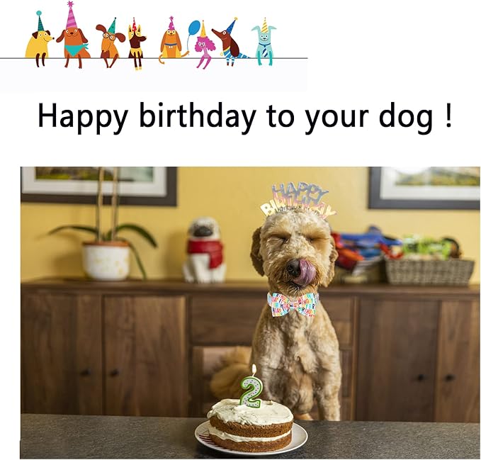 Unqiue Style Paws Birthday Dog Collar, Soft and Cute Dog Bow Tie, Durable Pet Collar with Bow Adjustable Bow Dog Collar for Small Dogs
