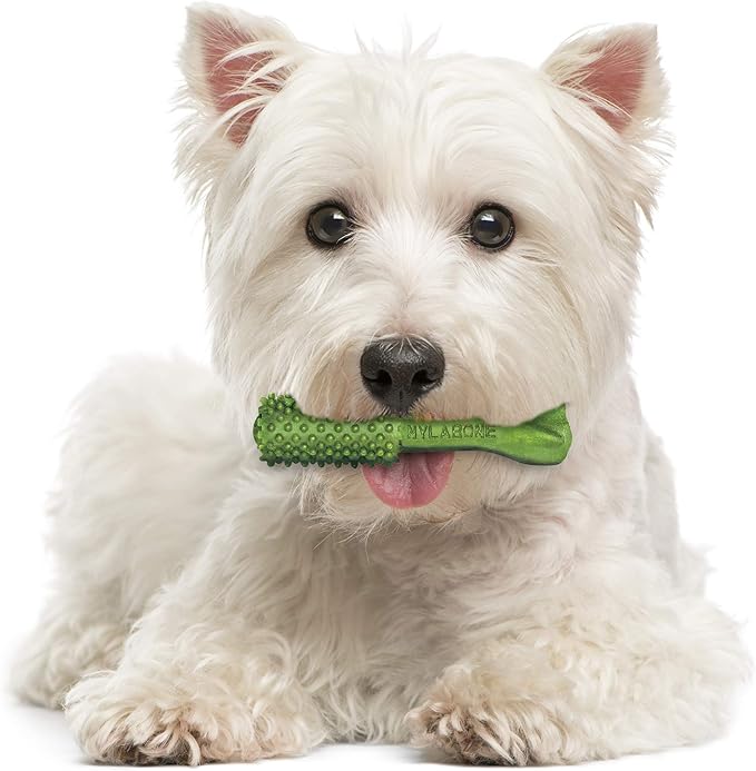 Nylabone Nutri Dent Dog Dental Chews - Natural Dog Teeth Cleaning & Breath Freshener - Dental Treats for Dogs - Fresh Breath Flavor, Small (64 Count)
