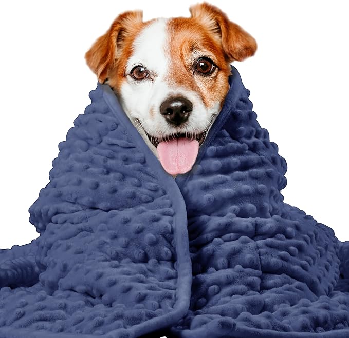 LaSyL Weighted Blanket for Pets | Thunder Blanket for Dogs Anxiety | Premium Soft Minky | Relaxation & Calming & Anti Anxiety | Used in Car, Bed, Couch | Dark Blue, Washable Small (24"x32")