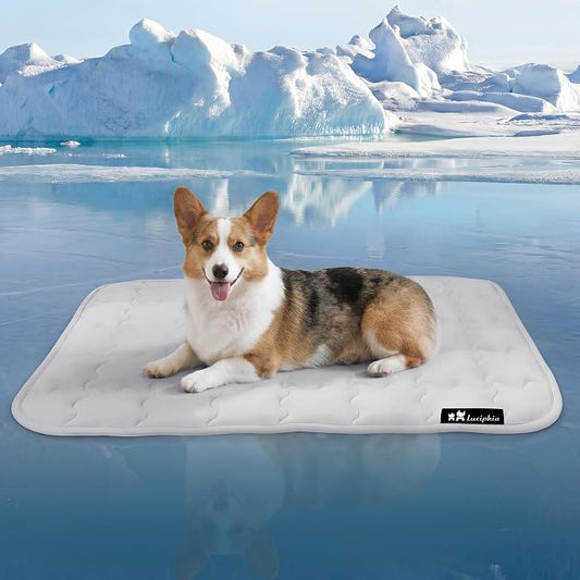 Luciphia Premium Dog Cooling Mat Non-Slip Q-MAX>0.5 Self-Cooling Pad for Medium Pet Indoor Portable Kennel Puppy Bed for Summer Crate Pad for Dog Washable Light Grey 30x40 inches