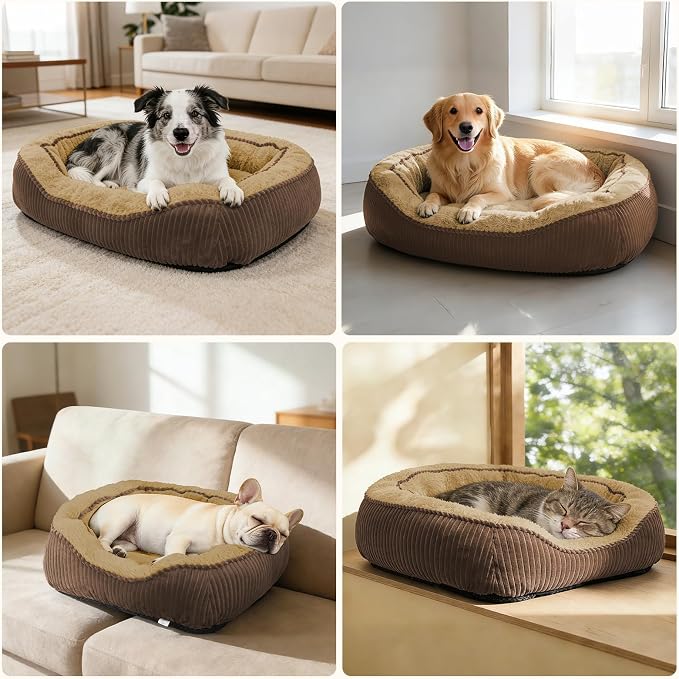 Medium Dog Beds for Medium Small Dogs Washable, Rectangle Dog Bed Medium Size Dog, Orthopedic Warming Soft Calming Sleeping Puppy Bed Durable Pet Bed with Anti-Slip Bottom(Brown,25"x21"x8")