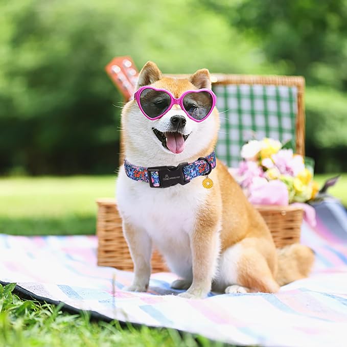 ARING PET Floral Dog Collar, Cute Blue Pink Orange Spring Summer Flower Doggy Pet Collars for Puppy Small Medium Large Girl Female Dogs-XS