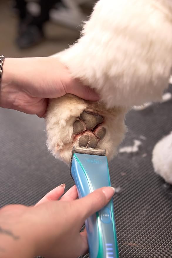 Wahl Pro Animal Motiva2 - Professional Pet Clipper for Dogs, Cats & Horses - Cordless - Digital Display with LED Indicator - Textured Grip - Easy to Carry & Travel Lock - Blue Ivy