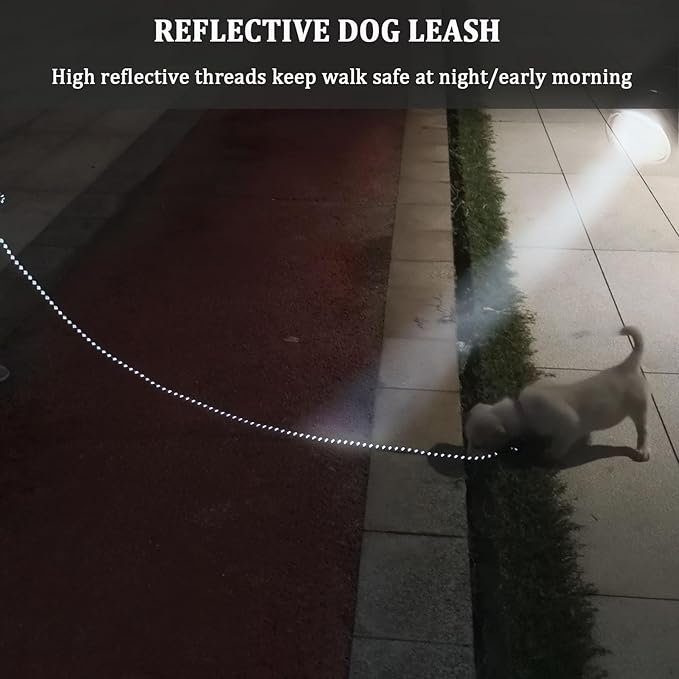 WYuZe Reflective X-Small Dog Leash 6/10/15 FT, Thin 1/5" Lightweight Rope Leash for Puppy Training, Walking Leads for Cats Chihuahua Maltese Small Pets Up to 15lb, (15ft, Blue)