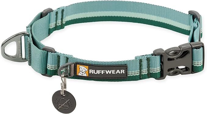 Ruffwear, Web Reaction Dog Collar, Escape-Proof Security Buckle, Adjustable Anti-Slip Martingale Collar with Durable Nylon Tubelok Webbing & Silent ID Attachment, River Rock Green, 23"-26"