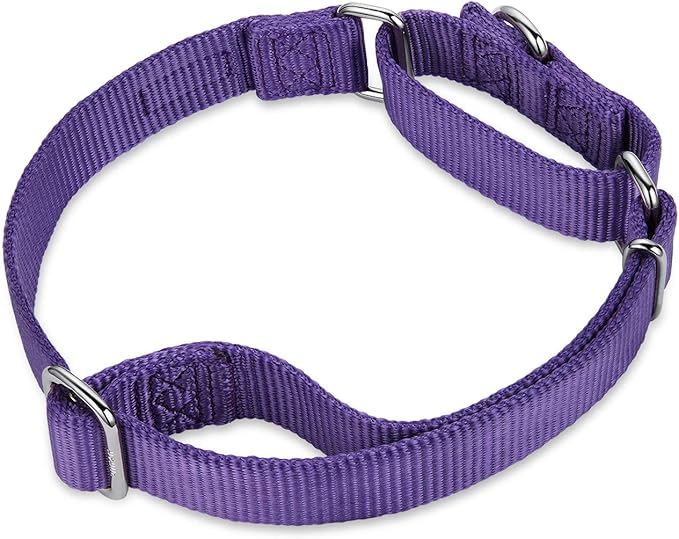 Hyhug Martingale Dog Collar Medium Purple |Escape - Proof Heavy Duty Nylon Durable No Slip, Ideal for Training & Daily Walks