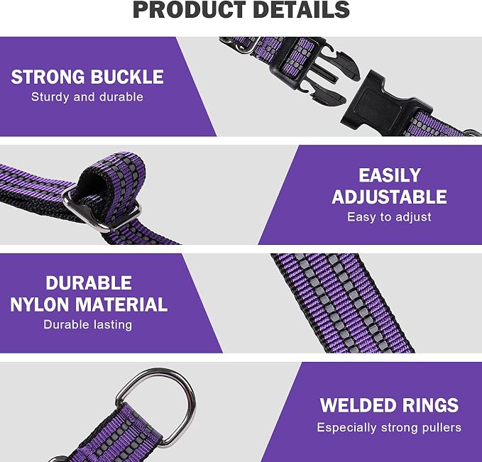 Hikiko Martingale Collar for Dogs Reflective Nylon Dog Collar with Quick Release Buckle Adjustable Training No Slip Dog Collar (Large, Purple)