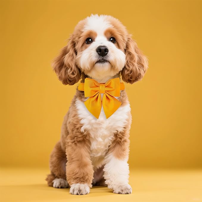 Maca Bates Mango Yellow Dog Collar with Cute Solid Sailor Bow Tie for Large Girl Boy Dogs,Adjustbale Durable Breakaway Soft Collars with Bowtie for Female Male Puppy,Pet with Metal Buckle