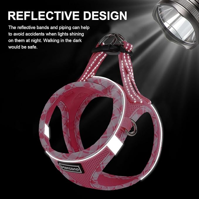 Mercano Soft Mesh Dog Harness and Leash Set, Step-in Reflective Breathable Lightweight Vest Harnesses with Safety Buckle for Small Dogs, Cats (XS, Fuchsia)