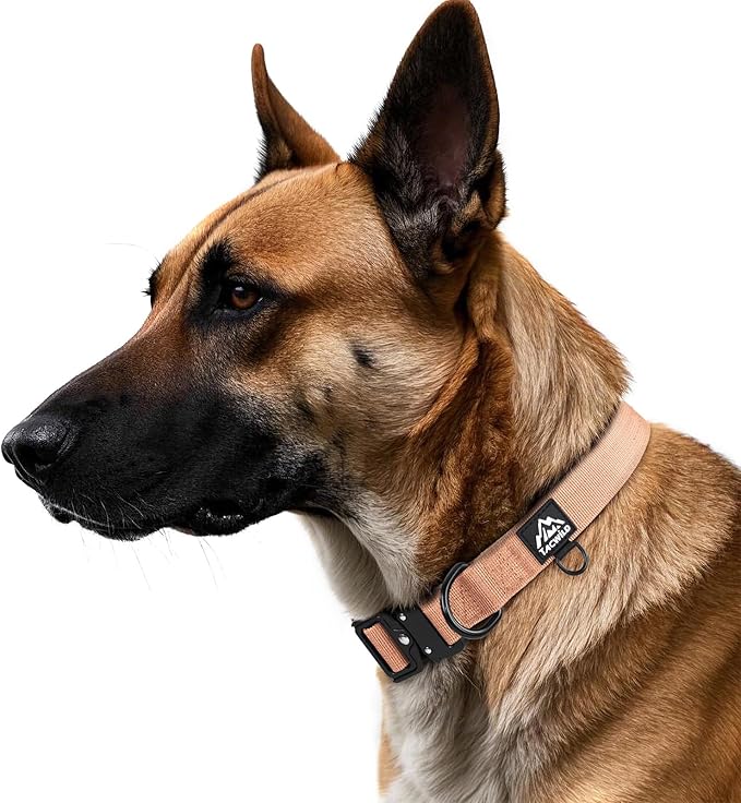 Medium Dog Collar Boy Girl - Adjustable, Chew Proof Nylon Collar with Metal Quick Release Buckle and D-Ring for Dog Tags (Carolina Blooms, M(1''Width, Fit 11''-15''))