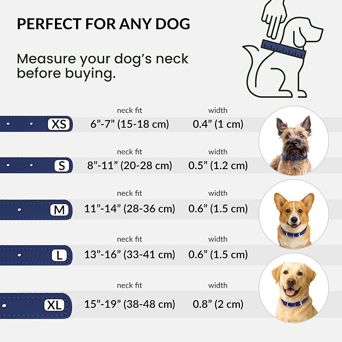 CollarDirect Reflective Rolled Leather Dog Collar, Soft Padded Round Puppy Collar, Handmade Genuine Leather Collar Dog Small Large Cat Collars 13 Colors (13-16 Inch, Deep Blue Reflective)