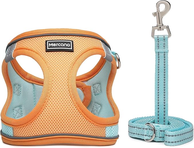 Mercano Soft Mesh Dog Harness and Leash Set, Step-in Reflective Breathable Lightweight Vest Harnesses with Safety Buckle for Small Dogs, Cats (L, Orange Blue)